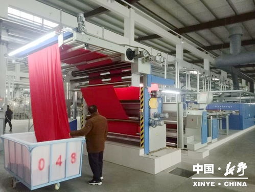 上马染整项目打通全产业链，新野纺织服装产业再升级