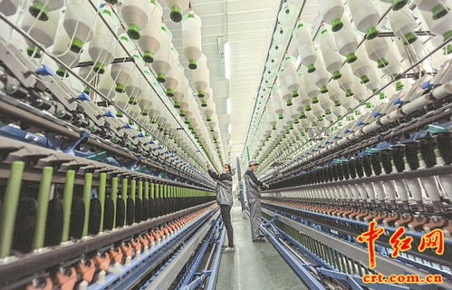 发展现代绿色纺织产业 推动县域经济高质量发展——四川省芦山县老区灾区绿色发展振兴侧记 劳动保护用品生产