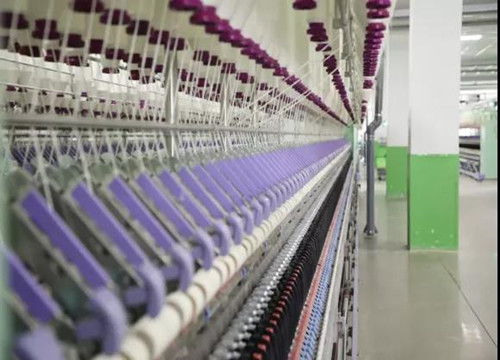 市委书记林彬杨深入我县调研产业用纺织制成品制造发展情况