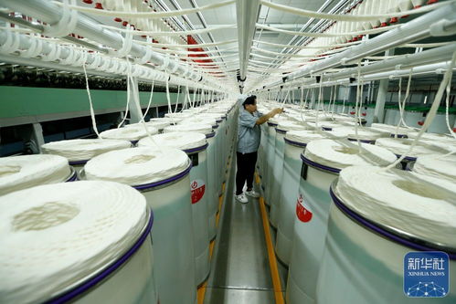 山东即墨智慧纺纱生产线 引领纺织产业升级与劳动保护用品创新
