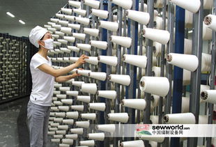 中国产业用纺织品行业协会标准化委员会成立，聚焦劳动保护用品生产新篇章